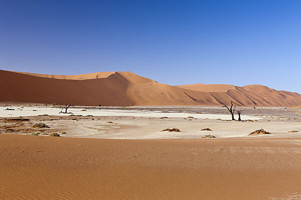 Impressionen von Hiddenvlei, Namib Naukluft Park, Namibia
