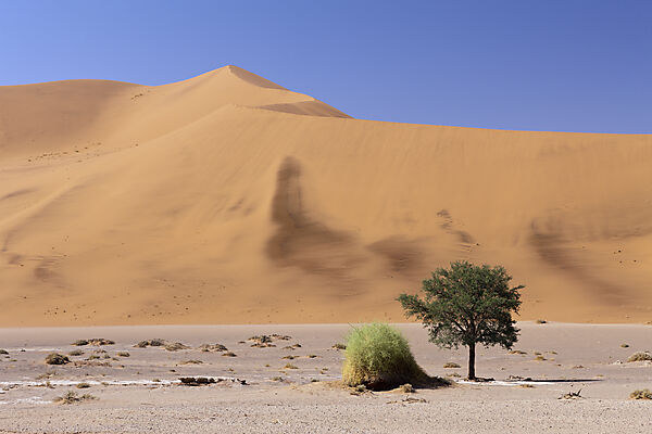 Impressionen von Hiddenvlei, Namib Naukluft Park, Namibia