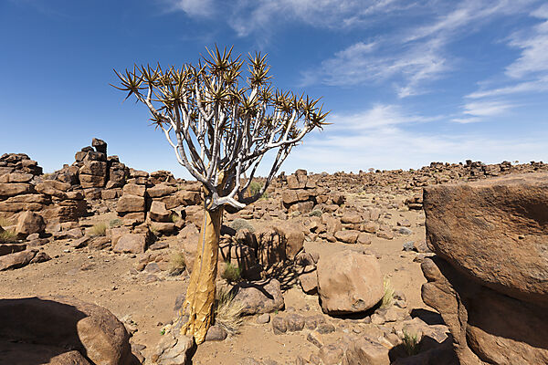 Felslandschaft des Spielplatz der Riesen, Keetmanshoop, Namibia