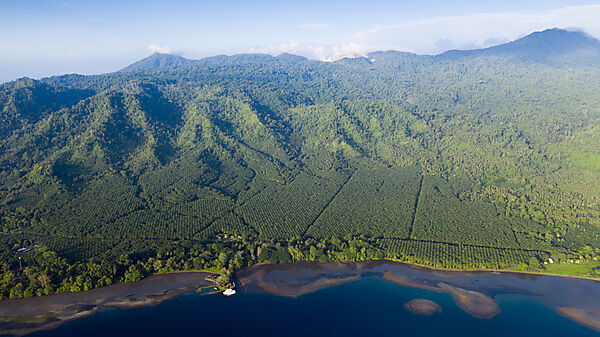 Walindi Plantation Resort, Kimbe Bay, New Britain, Papua Neuguinea