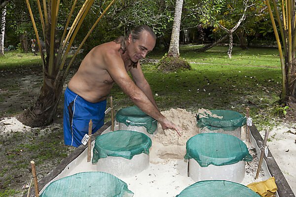 Schildkroeten Aufzuchtstation, New Ireland, Papua Neuguinea