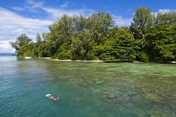 Schnorcheln am Haussriff von Lissenung, New Ireland, Papua Neuguinea