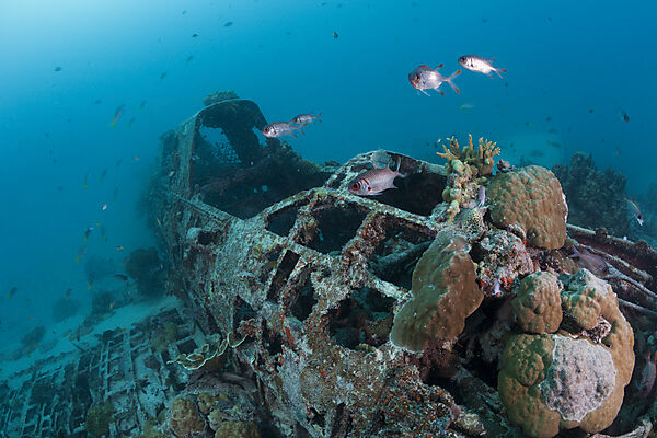 Japanisches Kate Bomber Wrack, New Ireland, Papua Neuguinea