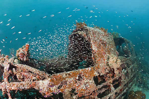 Japanisches Kate Bomber Wrack, New Ireland, Papua Neuguinea