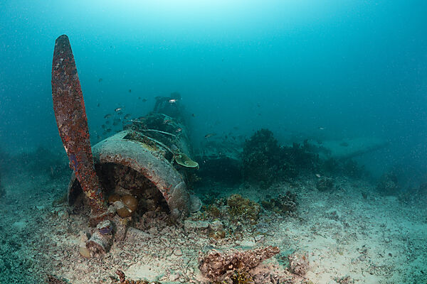 Japanisches Kate Bomber Wrack, New Ireland, Papua Neuguinea