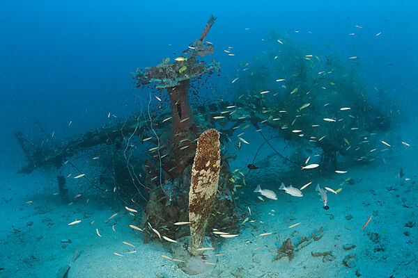 Mitsubishi F1M Pete Schwimmerflugzeug Wrack, New Ireland, Papua Neuguinea