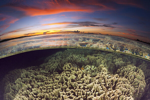 Korallenriff bei Sonnenuntergang, New Ireland, Papua Neuguinea