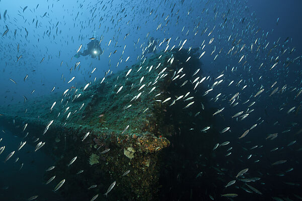 Taucher am Vassilios Wrack, Insel Vis, Mittelmeer, Kroatien