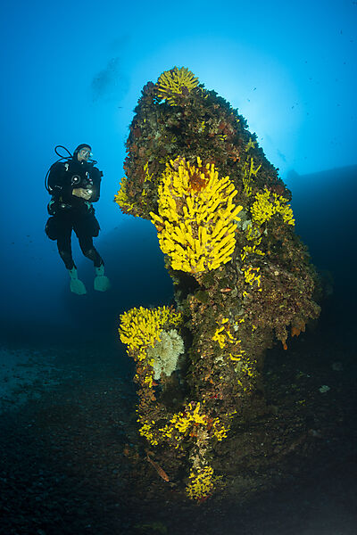 Scuba Diver at Vassilios Wreck, Vis Island, Mediterranean Sea, Croatia