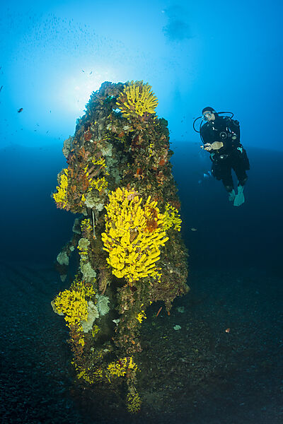 Scuba Diver at Vassilios Wreck, Vis Island, Mediterranean Sea, Croatia
