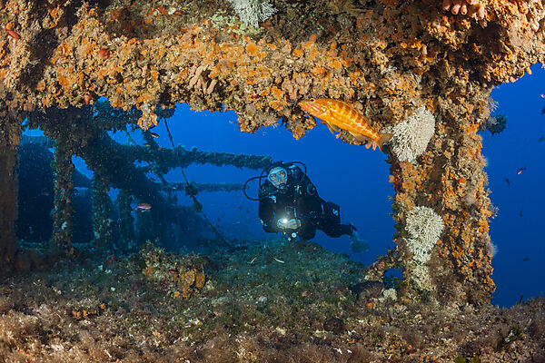 Taucher am Vassilios Wrack, Insel Vis, Mittelmeer, Kroatien