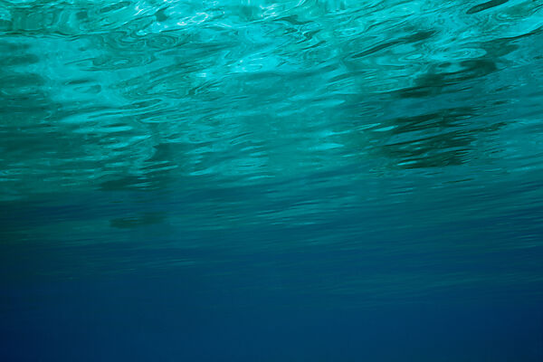 Water surface from underwater, Raja Ampat, West Papua, Indonesia