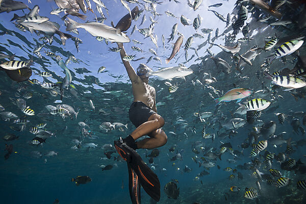 Schnorcheln in Fischschwarm, Raja Ampat, West Papua, Indonesien