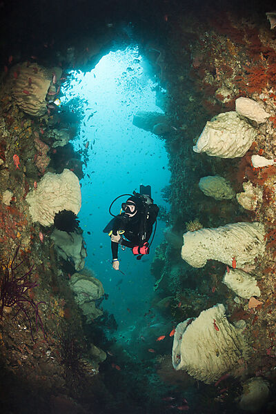 Taucher und Korallenriff, Forgotten Islands, Indonesien